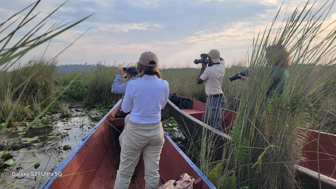 Guests photographing birds from a canoe at sunrise in Mabamba Swamp